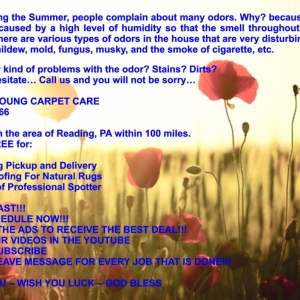 Photo of Robert Young Carpet Care