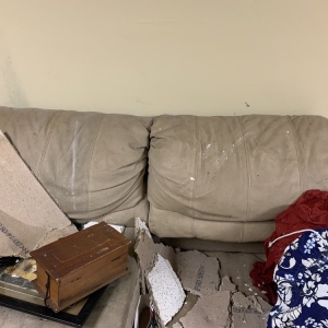 Photo of Ace Junk Removal Pros