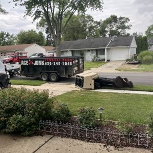 Photo of Ace Junk Removal Pros
