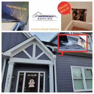 Photo of Paragon Roofing USA