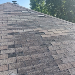 Photo of Paragon Roofing USA