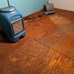 Photo of Hands On Carpet Cleaning Service