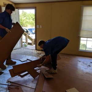 Photo of Hands On Carpet Cleaning Service