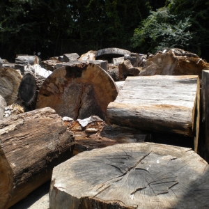 Photo of Atlantic Fine Woods