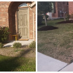 Photo of Riley Landscaping And Design