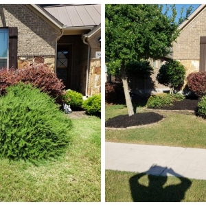 Photo of Riley Landscaping And Design