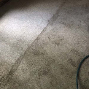 Photo of Carpet Solutions