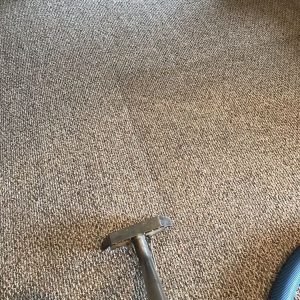 Photo of Carpet Solutions