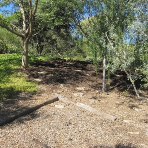 Photo of California Exteriors Landscape and Tree Service