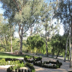 Photo of California Exteriors Landscape and Tree Service