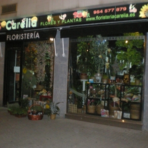 Photo of Carelia