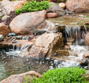 Photo of Affordable Lawn Care and Landscape