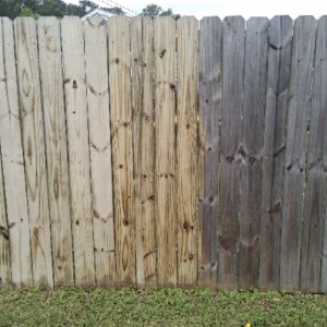 Photo of Blue Wave Pressure Cleaning