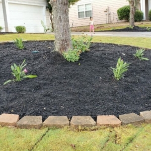 Photo of Manuel Landscaping