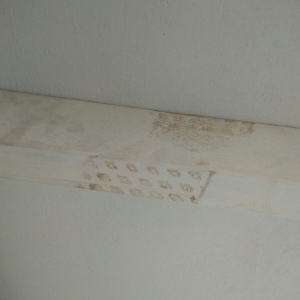 Photo of Roof Roofing