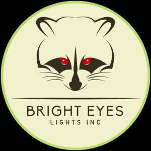 Photo of Bright Eyes Lights