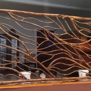 Photo of Cherry Coating Pro Painting