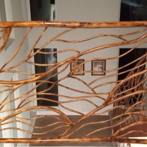 Photo of Cherry Coating Pro Painting