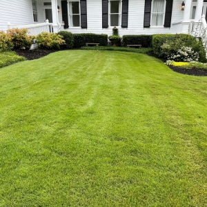 Photo of Turf Magic