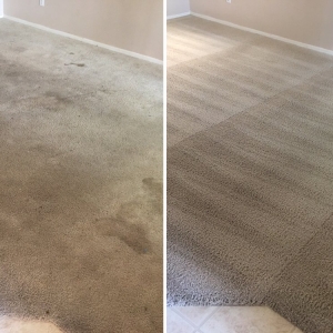 Maricopa Oxi Fresh Carpet Cleaning