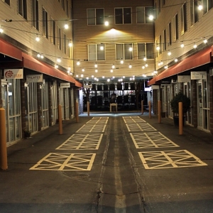 Photo of Workshops