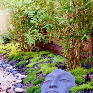 Photo of Judy's Gardens & Design