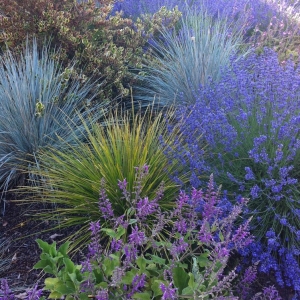 Photo of Judy's Gardens & Design