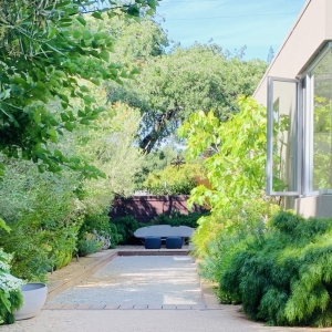 Photo of Judy's Gardens & Design