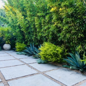 Photo of Judy's Gardens & Design