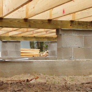 Photo of Bats Foundation Repair Of Seguin