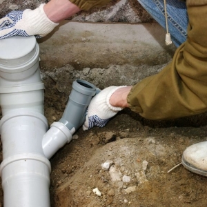 Photo of Bats Foundation Repair Of Seguin