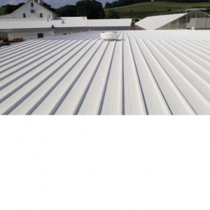Photo of John's Flat Roof & More
