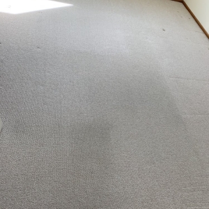 Photo of Pacific Green Carpet Cleaning