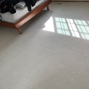 Photo of Pacific Green Carpet Cleaning