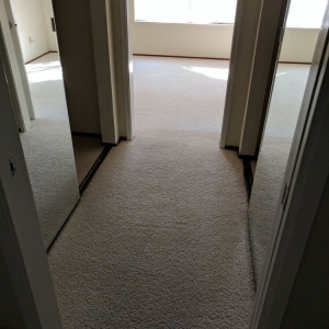 Photo of Pacific Green Carpet Cleaning