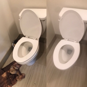 Photo of Clean Bee Home & Office Cleaning Services