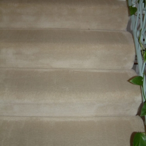 Photo of Hostess Carpet Care