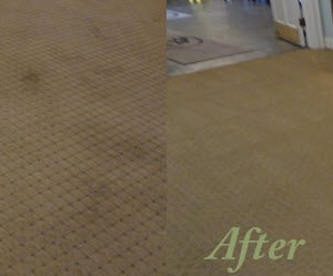 Photo of Hostess Carpet Care
