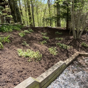Photo of High Mountain Landscaping