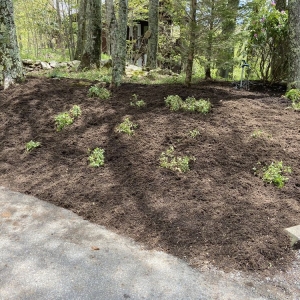 Photo of High Mountain Landscaping