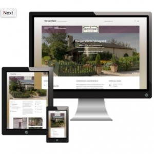 Photo of Sapphire Falls Web Design