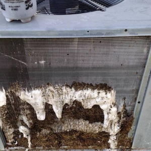 Photo of Beasley's Heating, Cooling And Refrigeration