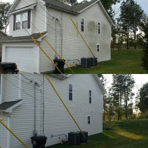 Photo of Bumblebee Pressure Washing