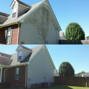 Photo of Bumblebee Pressure Washing