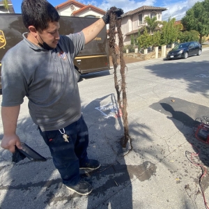 Photo of The Drain Guys Plumbing & Drain Cleaning