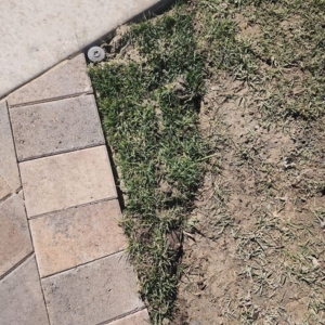 Photo of L. Raymond's Landscaping & Construction