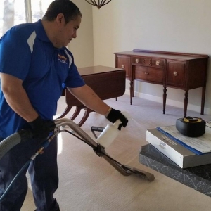 Photo of Wolverine Professional Carpet and Furniture Cleaning
