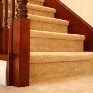 Photo of Wolverine Professional Carpet and Furniture Cleaning