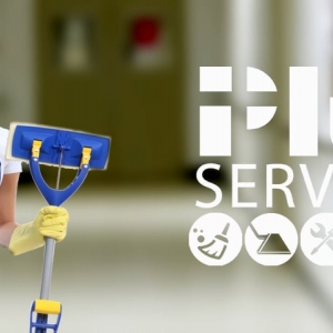 Austin Plus Services