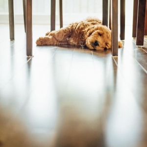 Photo of Jimmie Lyles Flooring Gallery